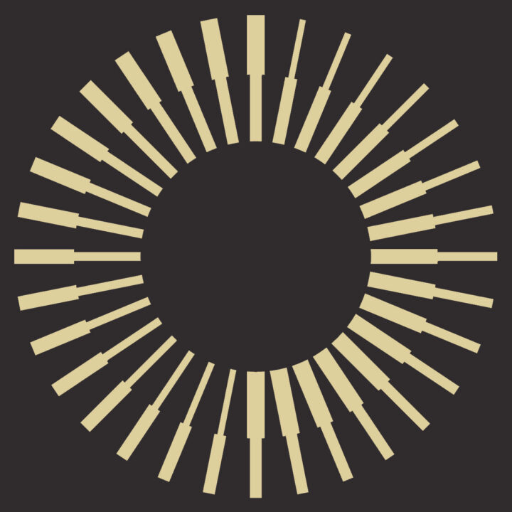 Trustees (voluntary, part time)