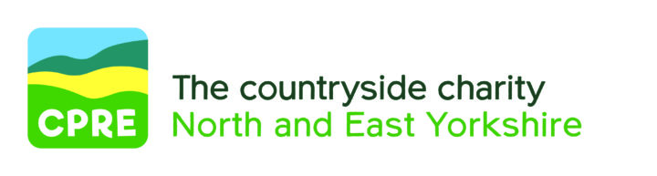 Trustee (Supporter Development Lead)