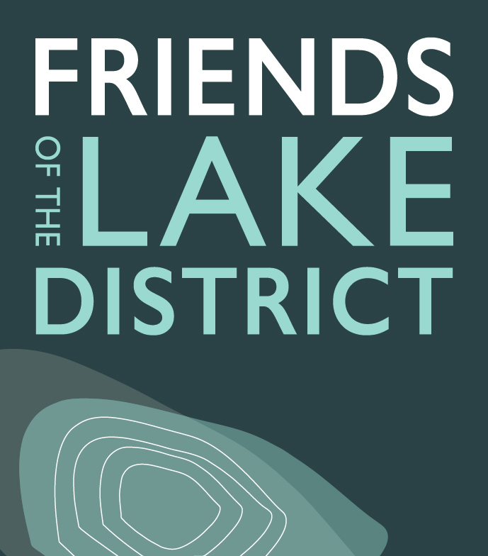 Volunteer Trustee Director