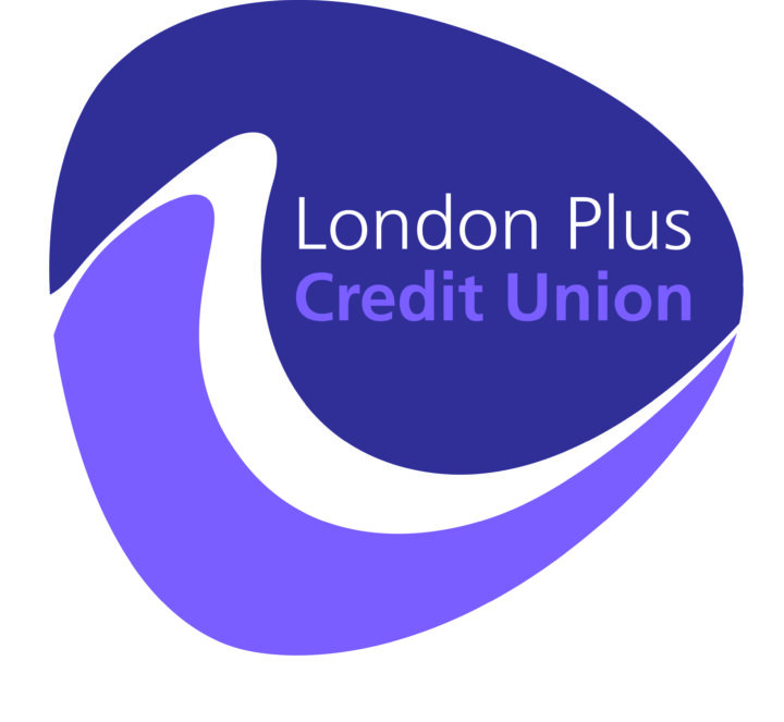 Non Executive Board Director-various Roles