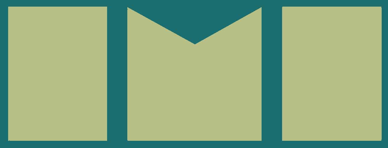 Treasurer (Trustee Board)