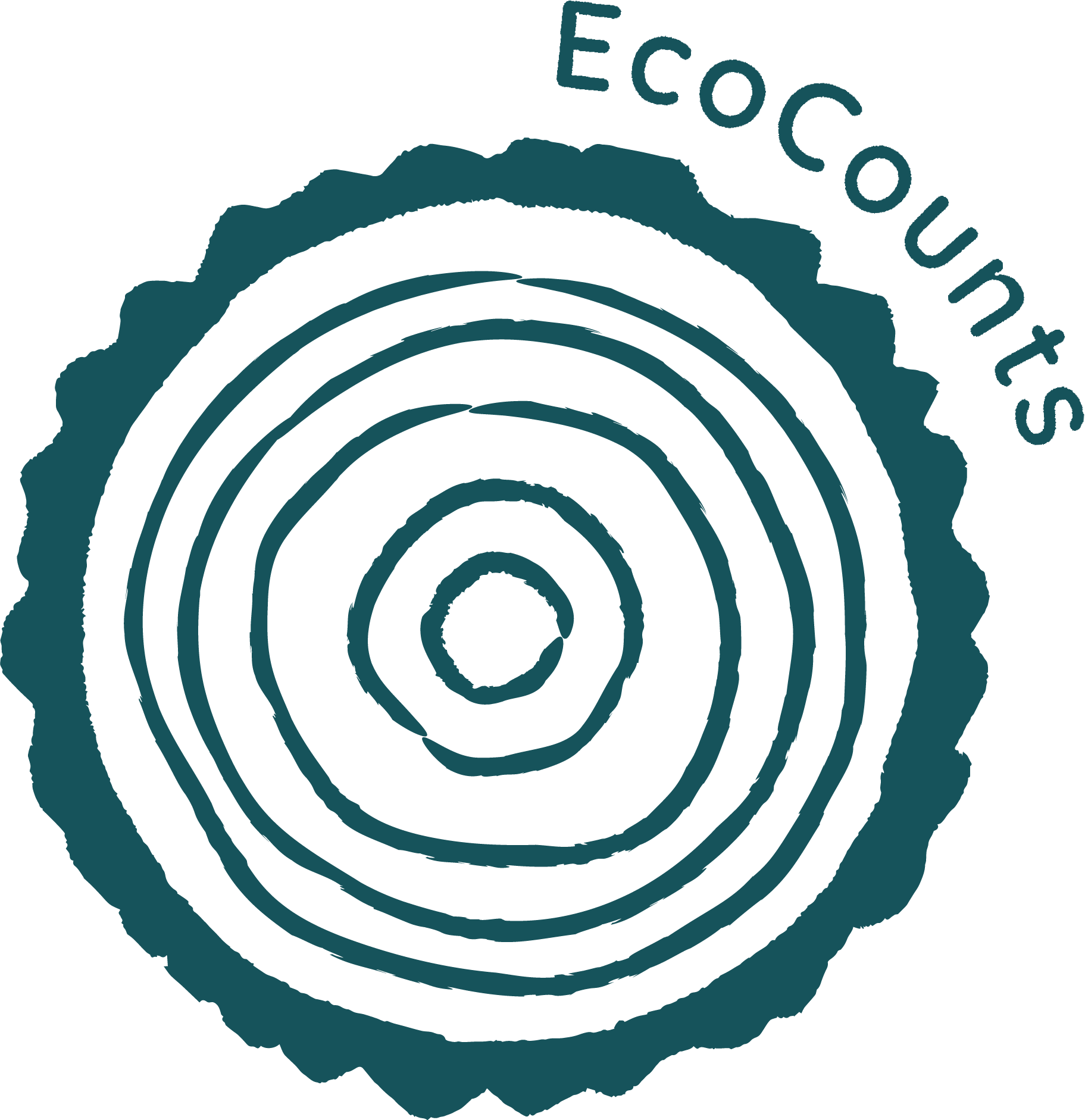 Trustee for a small climate charity in start-up mode