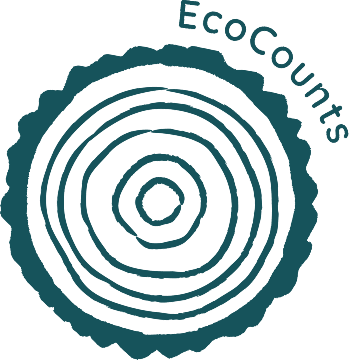 Trustee for a small climate charity in start-up mode