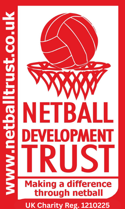 Trustee - strategy and fundraising