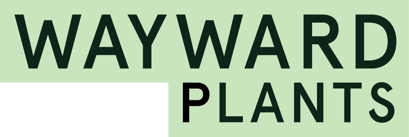 Trustee Opportunity: Wayward Plants (emerging charity)