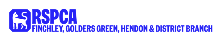 Trustee – Fundraising (Fundraising Portfolio)